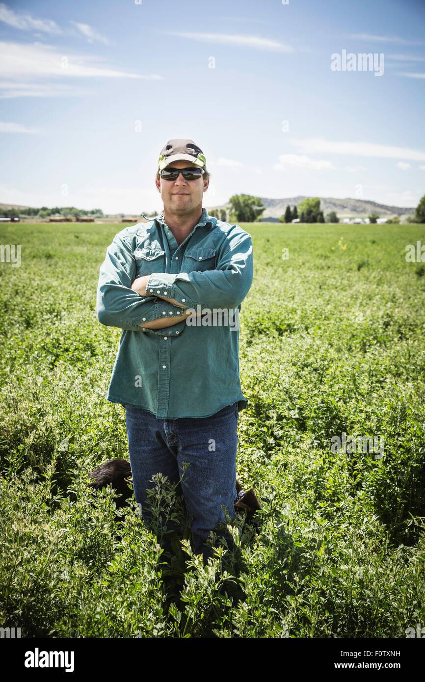 Mature man in field, Billings, Montana, USA Stock Photo