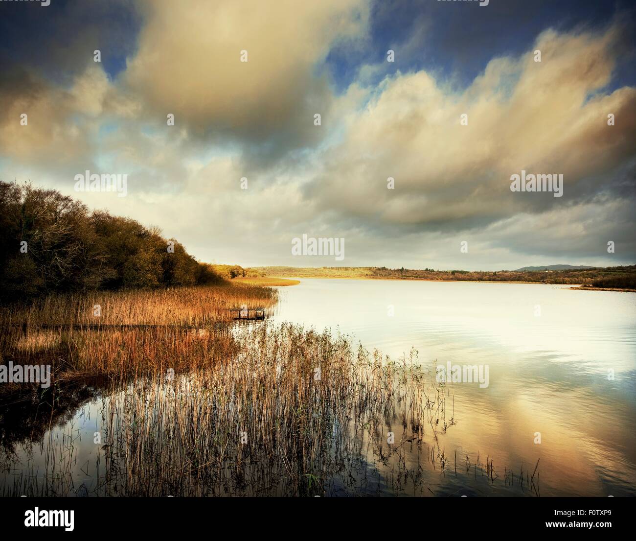 View of Boa Island on Loch Erne, Furmanagh, Northern Ireland, UK Stock Photo