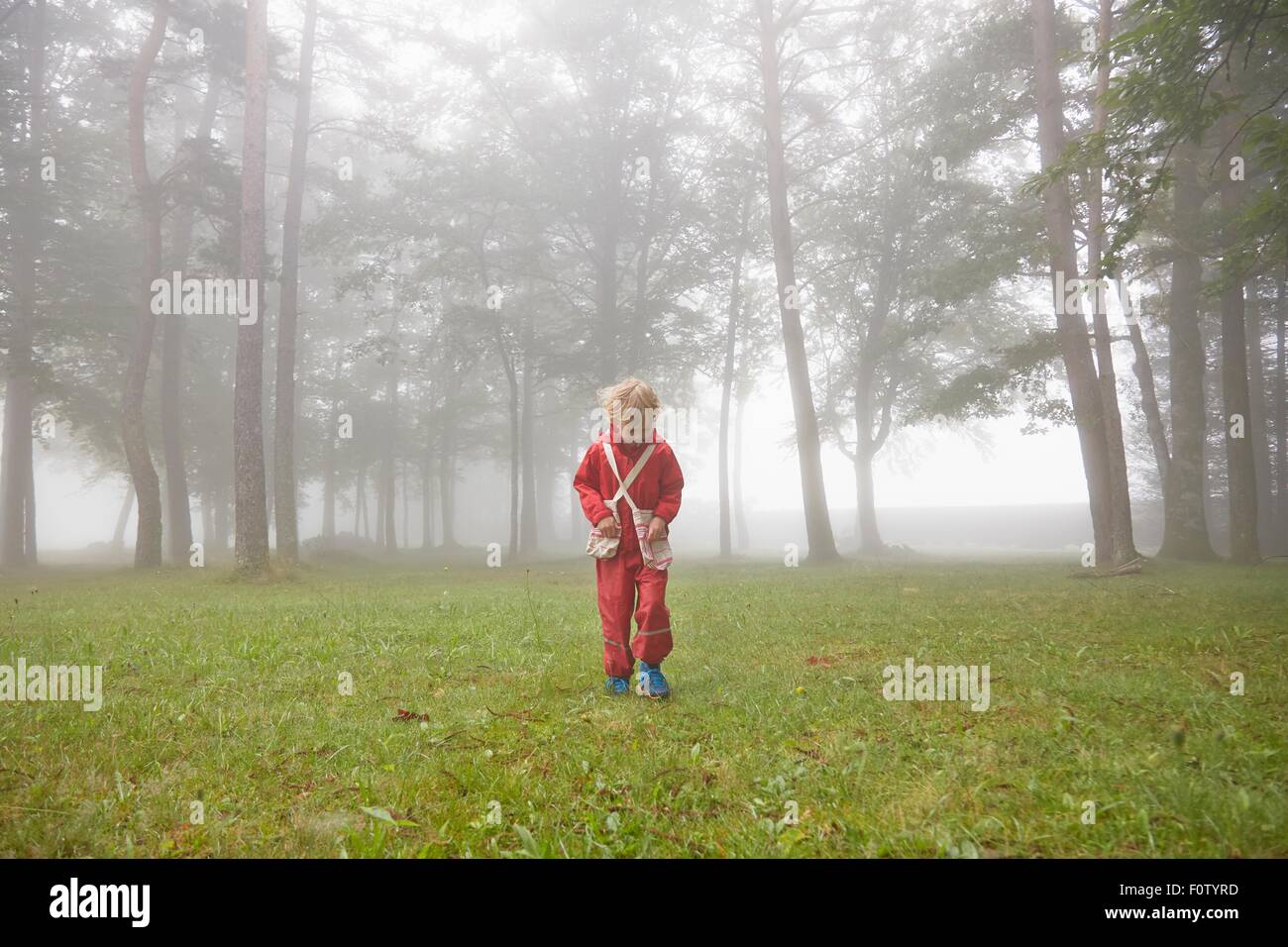 Boy wearing red waterproofs searching in misty landscape Stock Photo