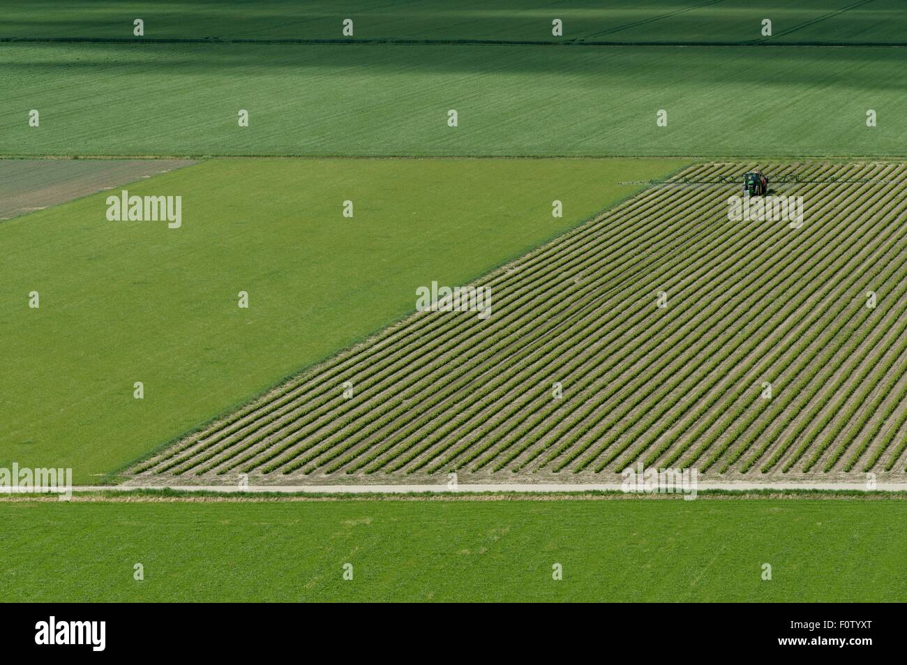 Tractor spraying a field with pesticide Stock Photo