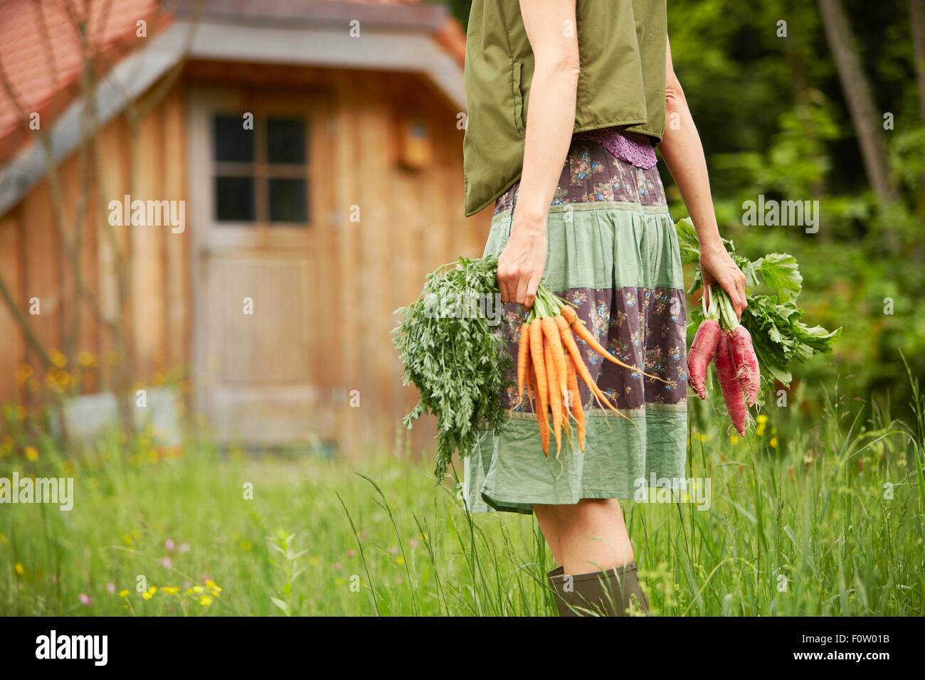 Cropped view of woman carrying vegetables in field Stock Photo