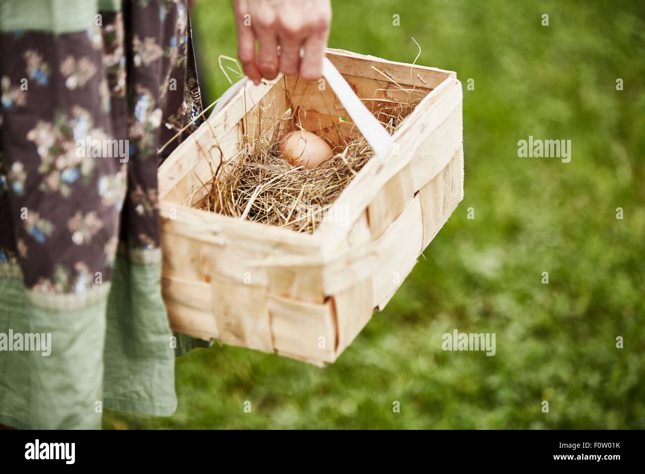 Hot Products-chicken Egg Baskets for Fresh Eggs, Wire Egg Collection  Basket, Ceramic Fresh Egg Holde