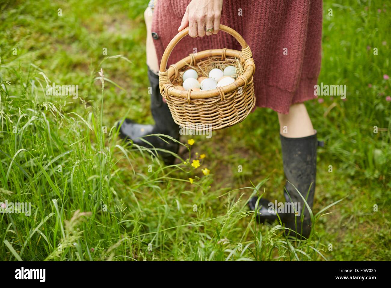 Cropped view of woman with basket of free range eggs Stock Photo
