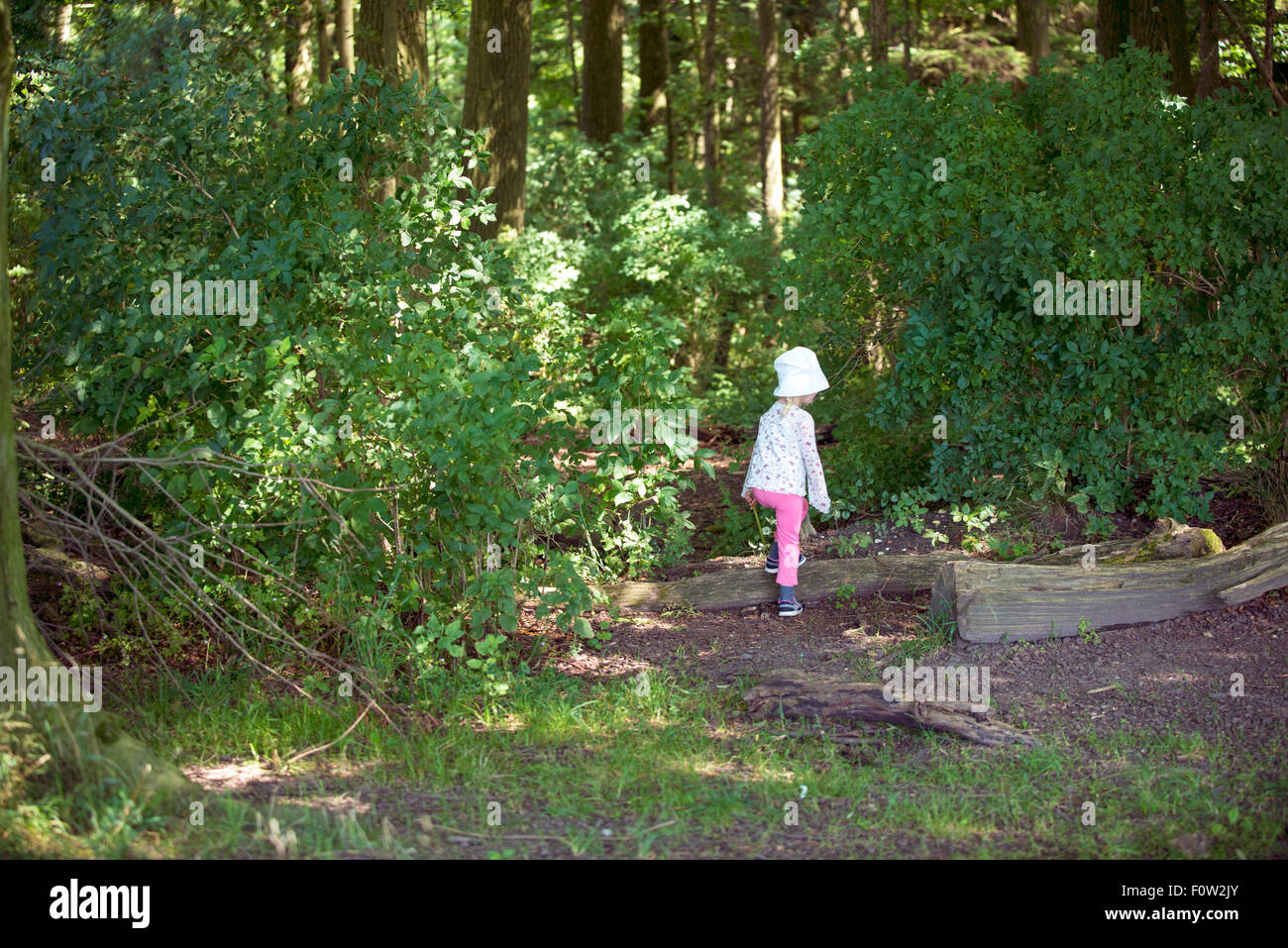 Little girl in the woods, adventuring Stock Photo