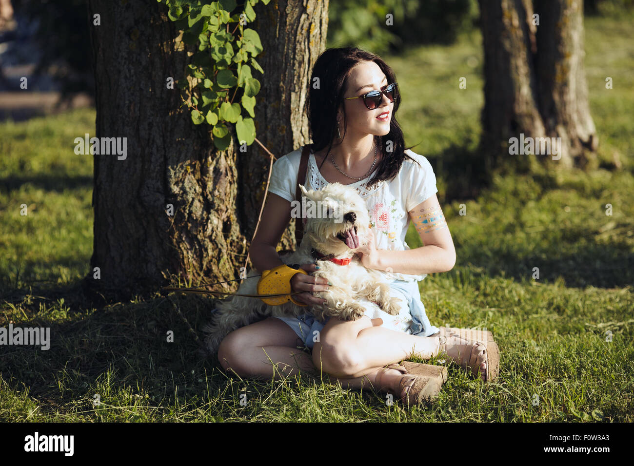 The girl with dog sit on a grass Stock Photo - Alamy