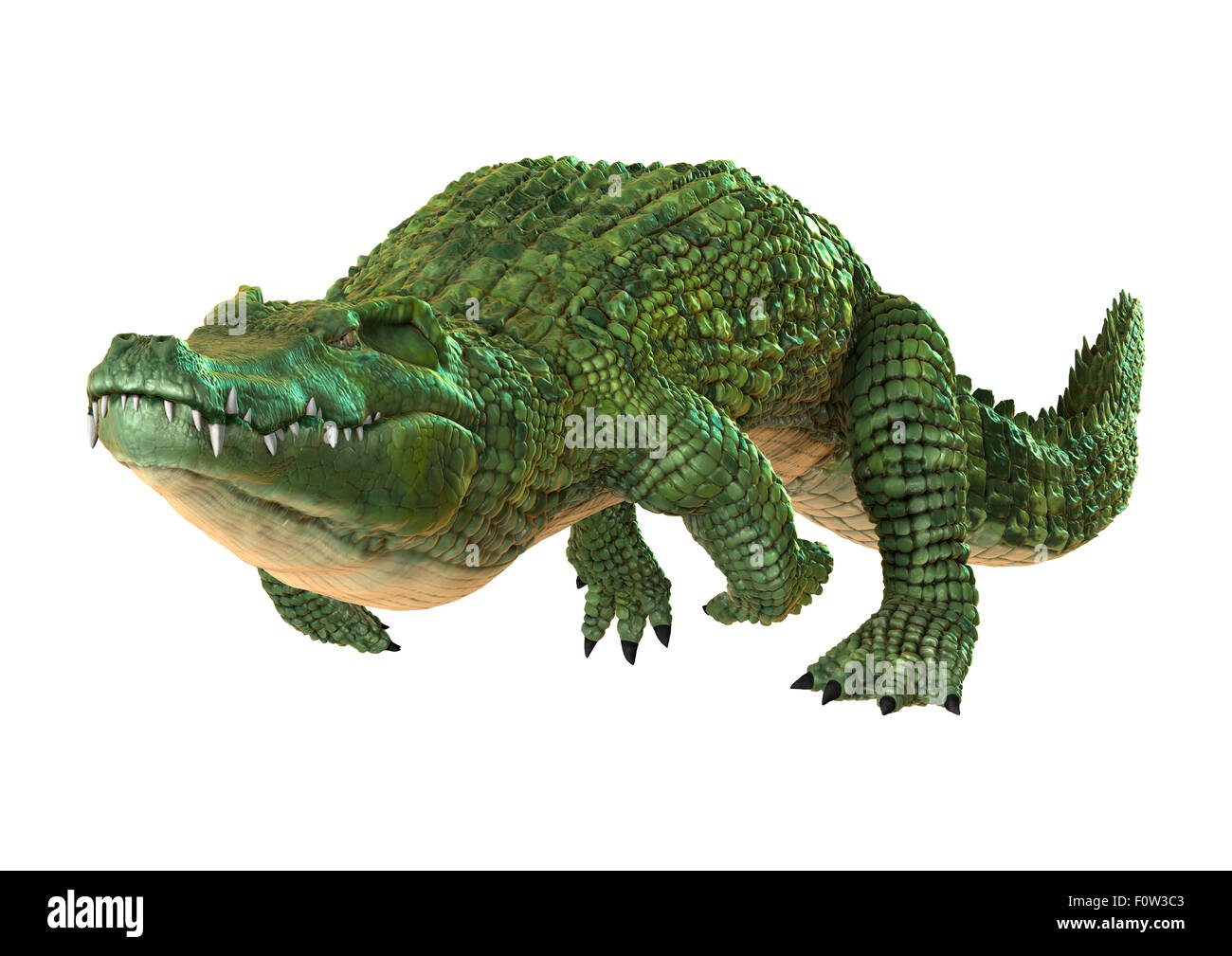 36,718 Green Crocodile Skin Images, Stock Photos, 3D objects, & Vectors