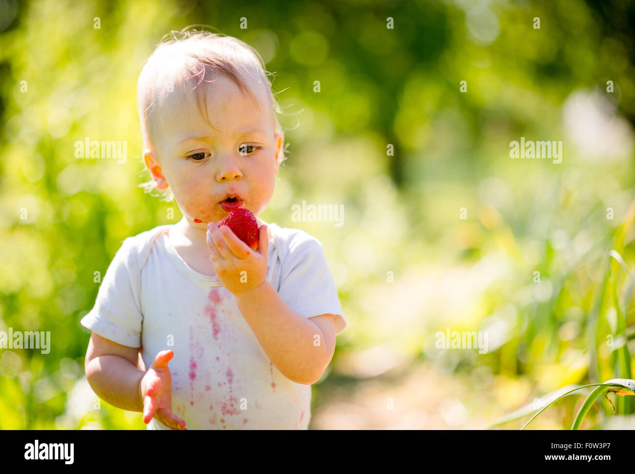 Cute little child eating strawberries, outside in backyard garden Stock Photo