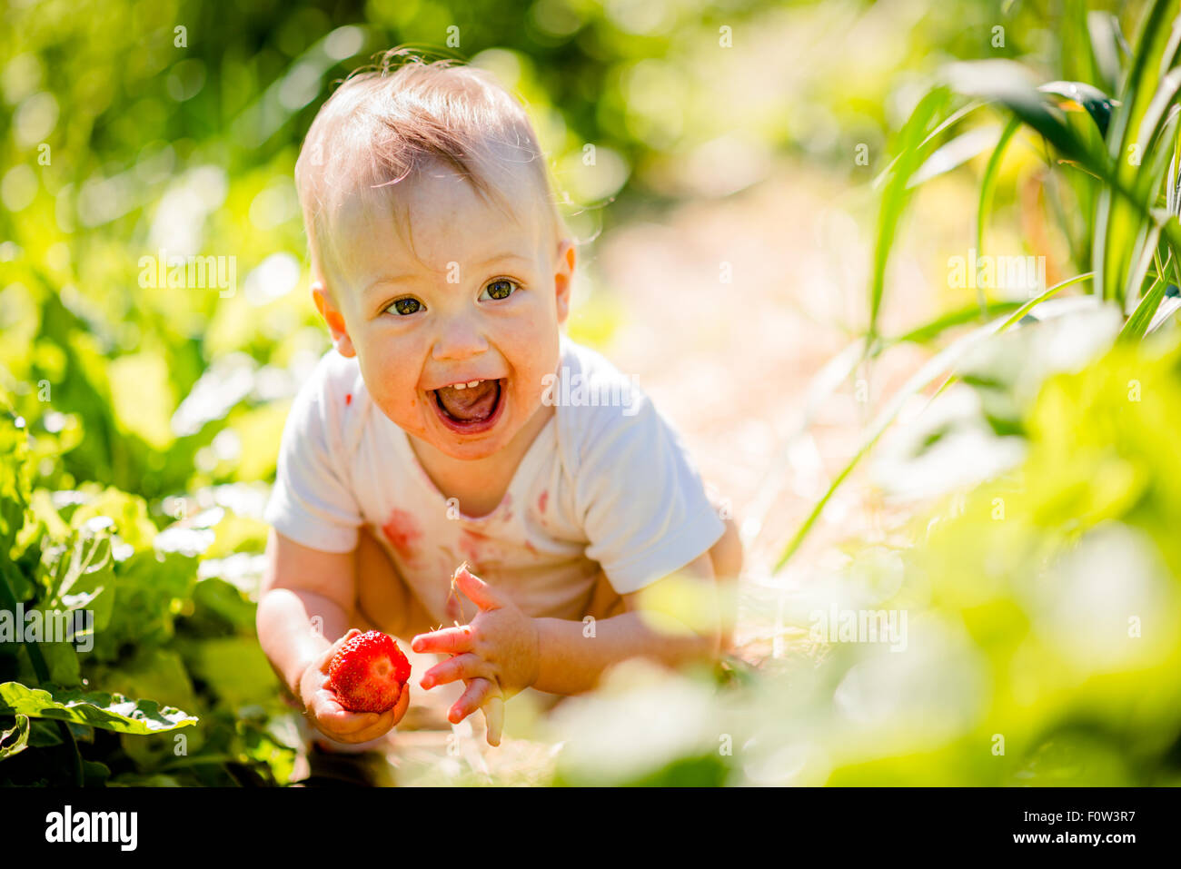 Pure Joy Cute Happy Baby With Strawberry Outdoor In Garden Stock Photo Alamy