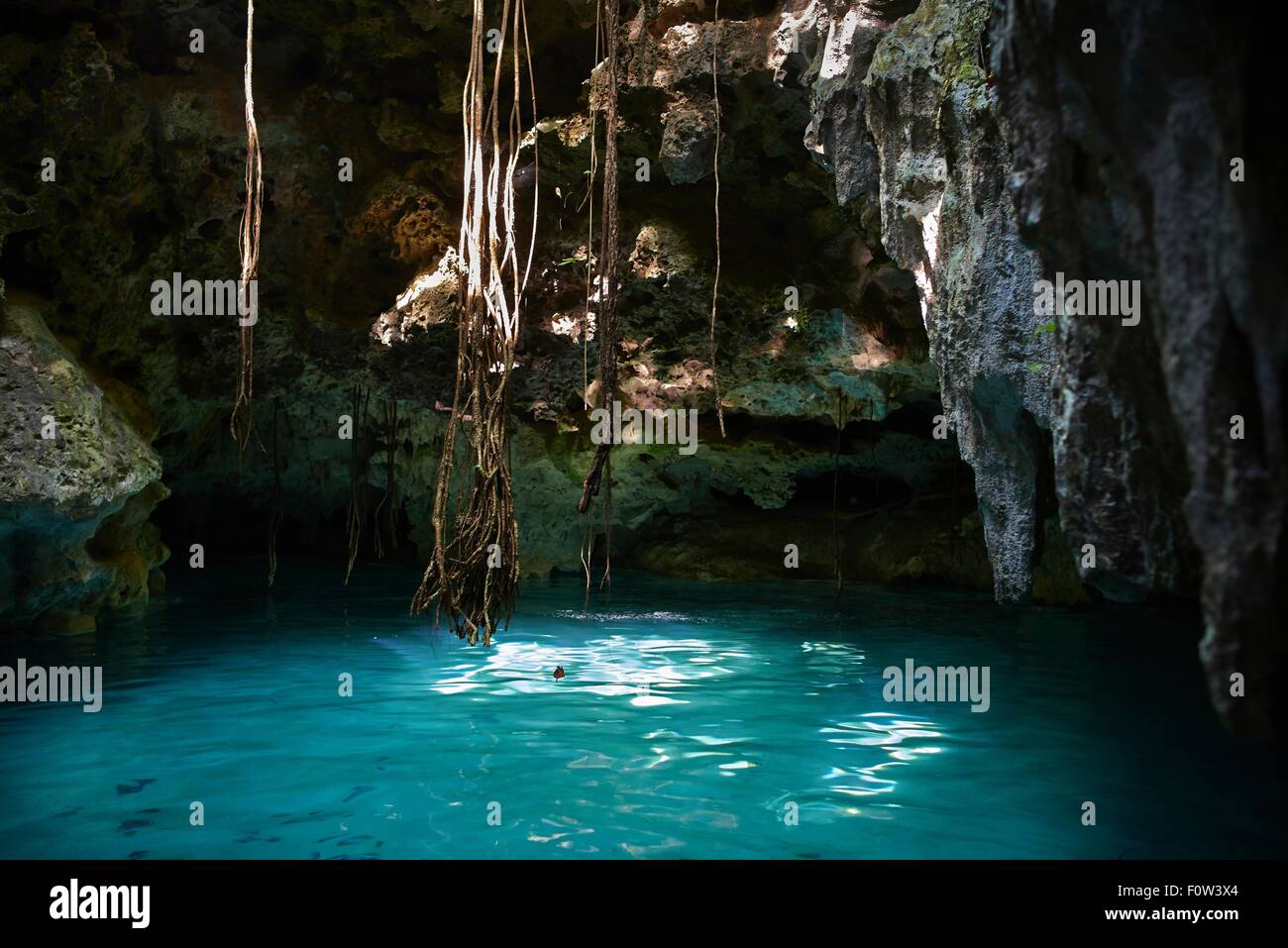 Cave and water scene from cenote, Mexico Stock Photo