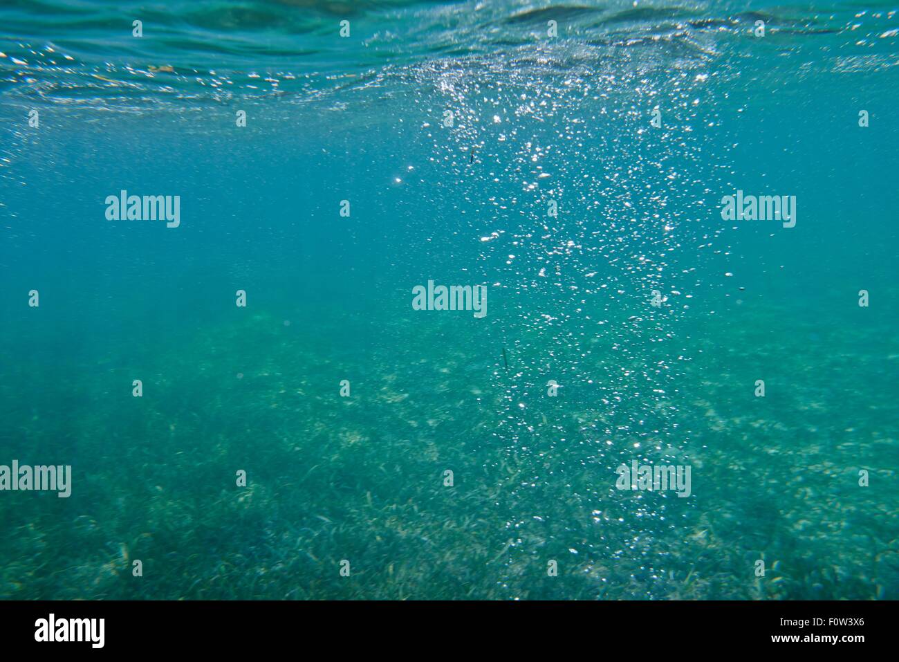 Underwater peaceful scene hi-res stock photography and images - Alamy