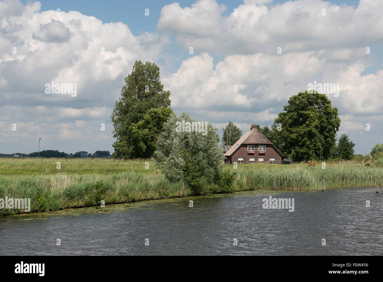 Farm house with thatched roof and trees on the banks of a canal, Amersfoort, Netherlands Stock Photo