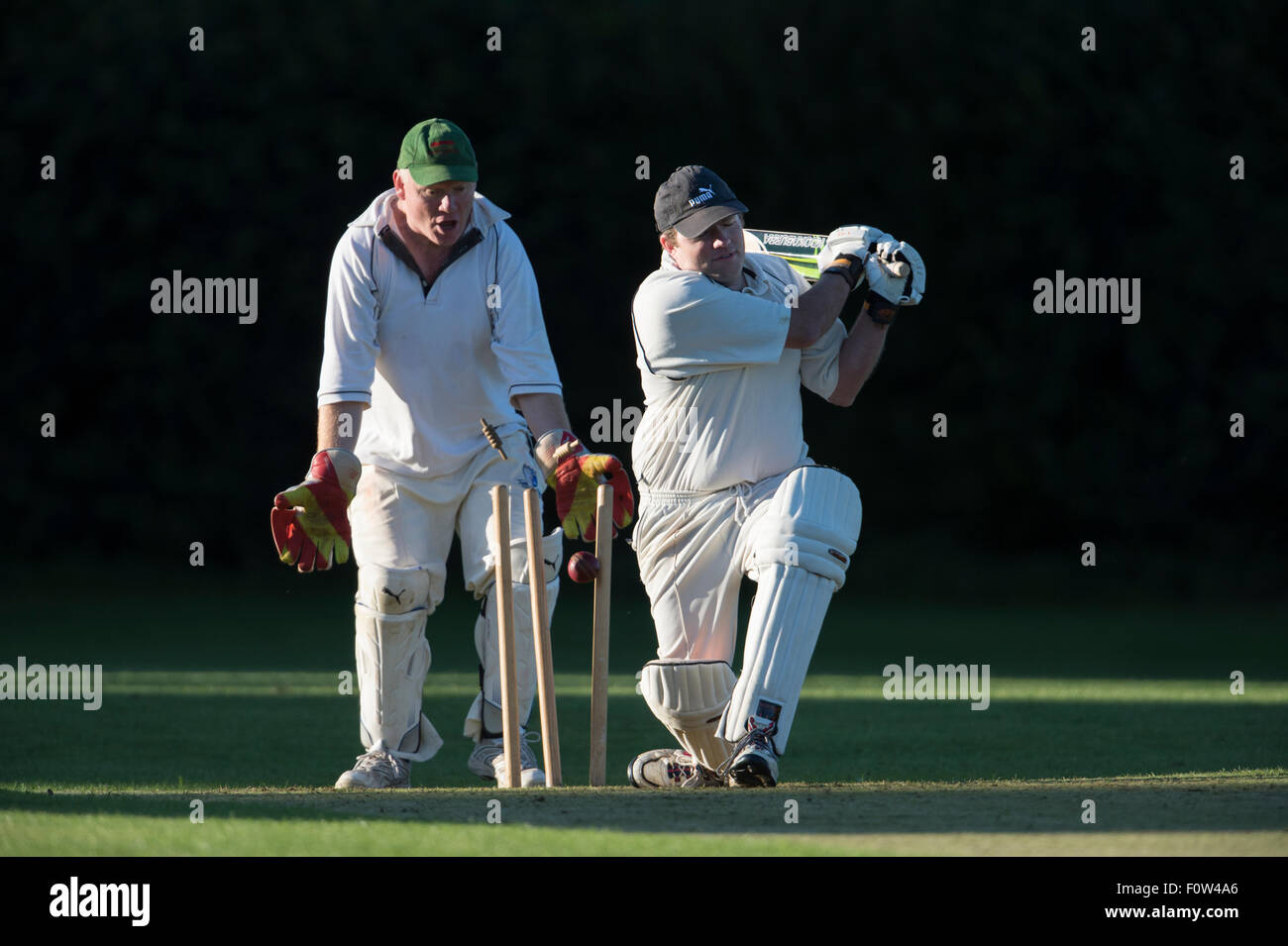 Cricket ball hitting stumps hires stock photography and images Alamy