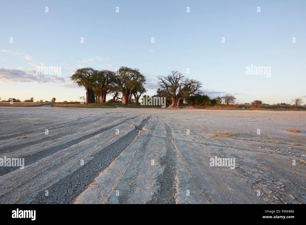 Nxai Pan National Park by day, Kalahari Desert, Africa Stock Photo