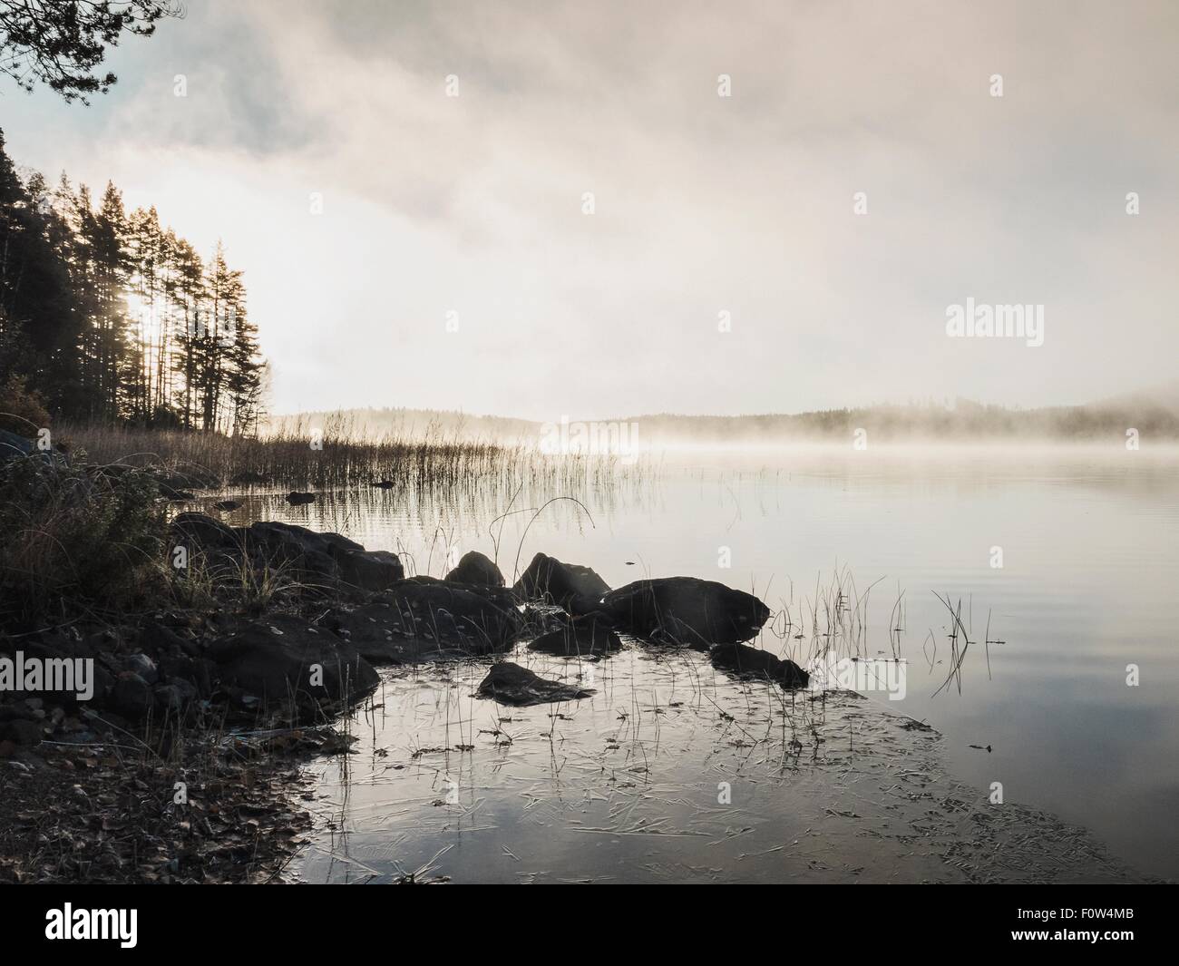 Silhouetted rocks and reeds on misty lakeside at sunrise, Orivesi, Finland Stock Photo