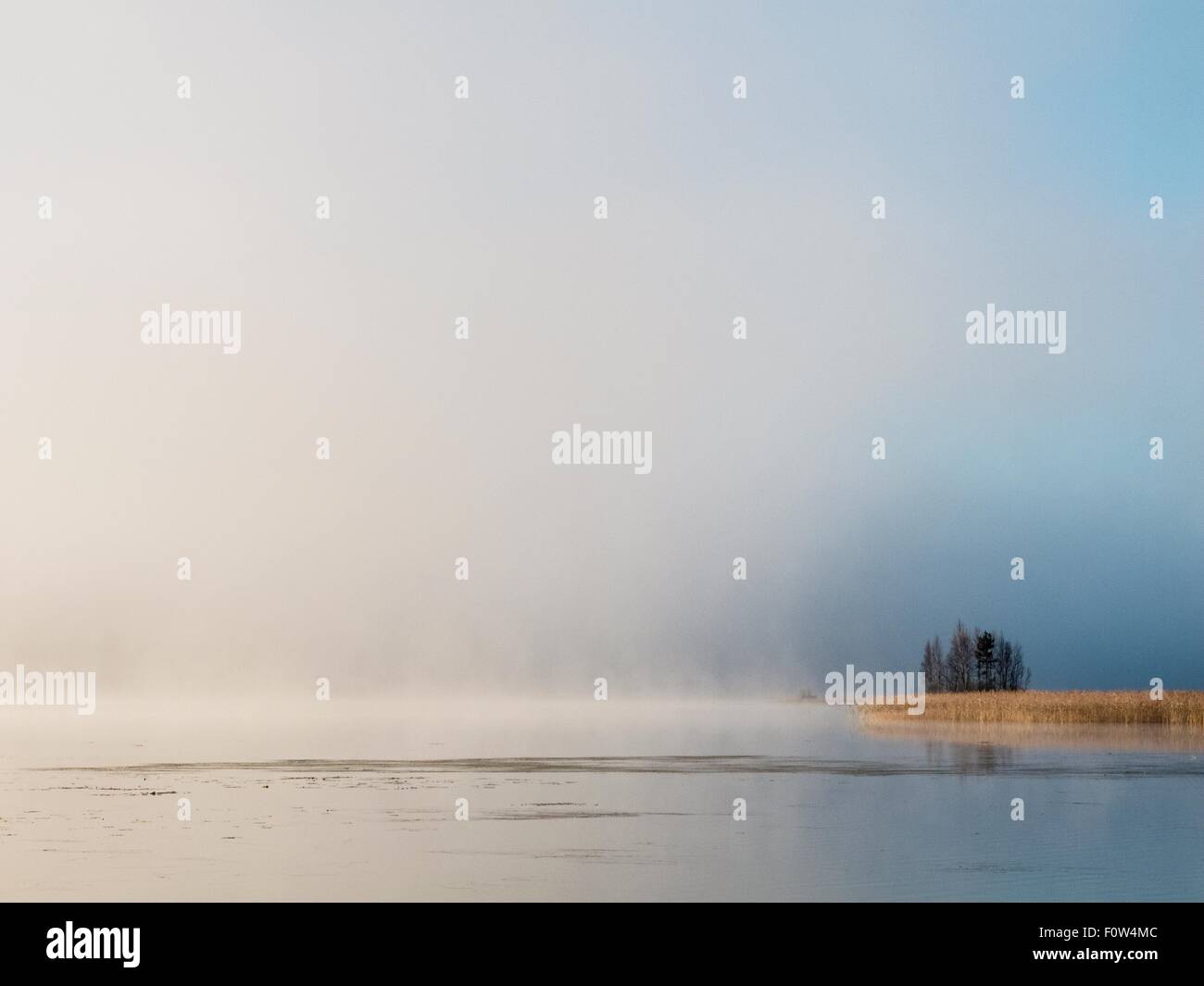 Mist on lake horizon at dawn, Orivesi, Finland Stock Photo