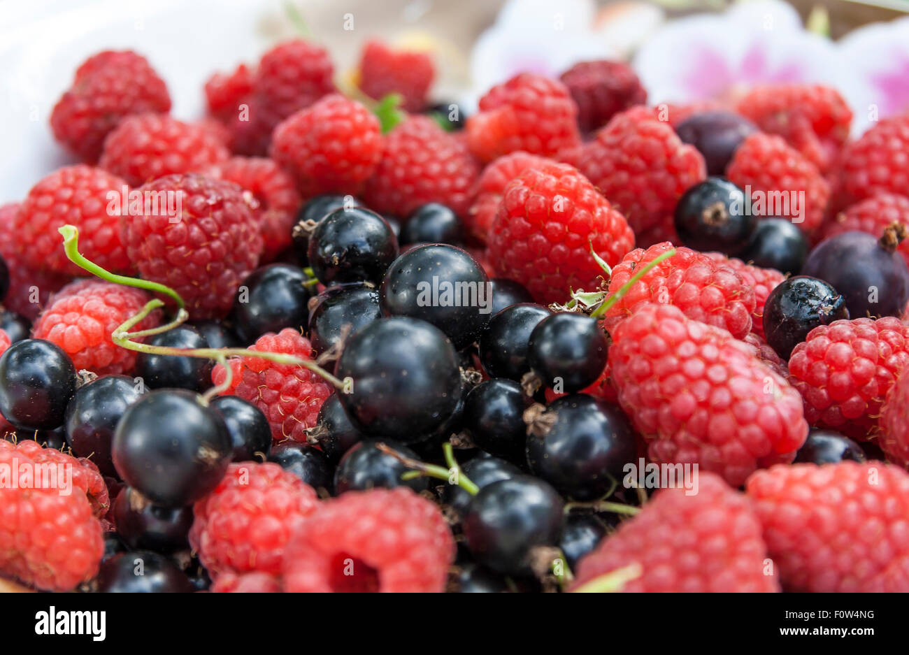 Raspberries & Black Currant Mix Stock Photo - Alamy