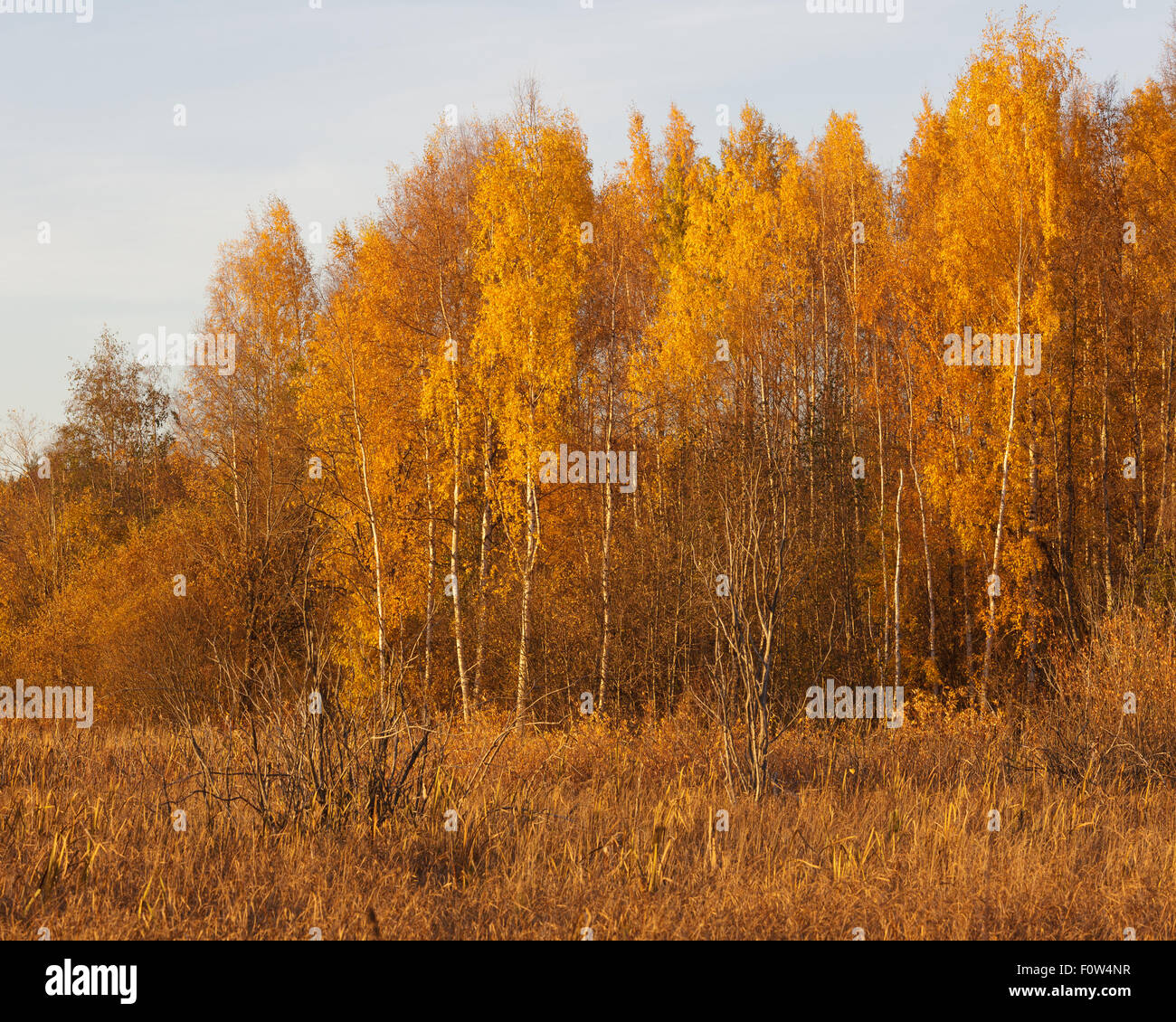 Nature landscape in autumn colors Stock Photo - Alamy
