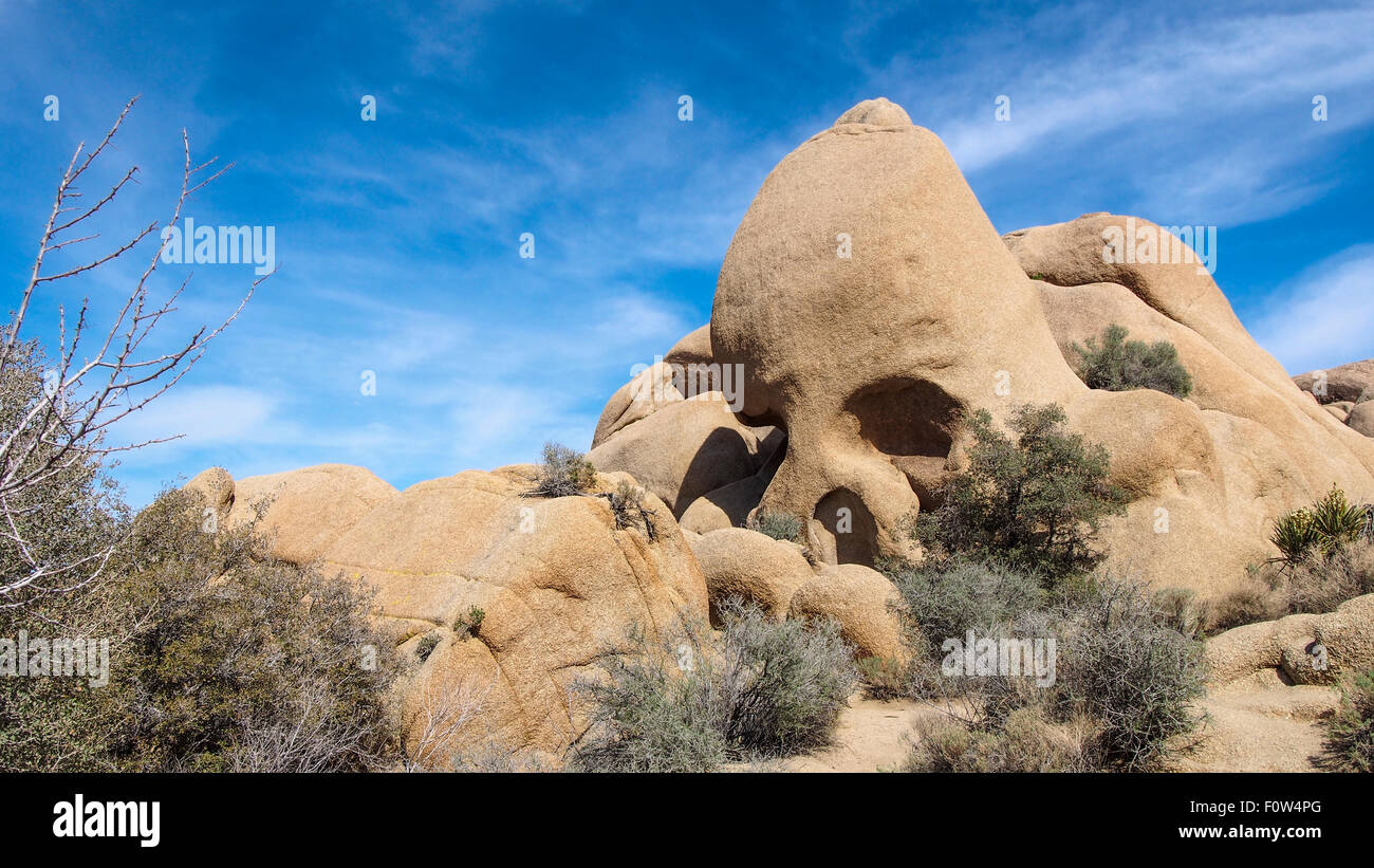 SKULL ROCK, JOSHUA TREE NATIONAL PARK, CALIFORNIA, USA CIRCA 2013