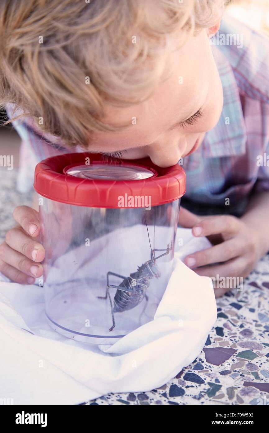 Young boy looking at bug through magnified container Stock Photo