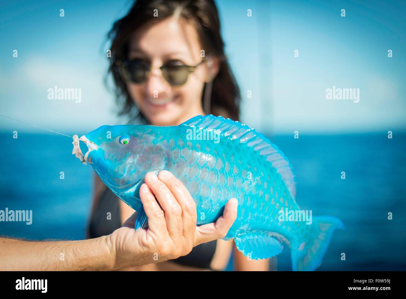 Male hand holding turquoise parrot fish for young woman, Islamorada, Florida, USA Stock Photo