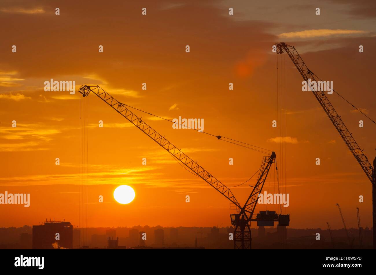 Silhouetted cranes and orange glowing sunset Stock Photo