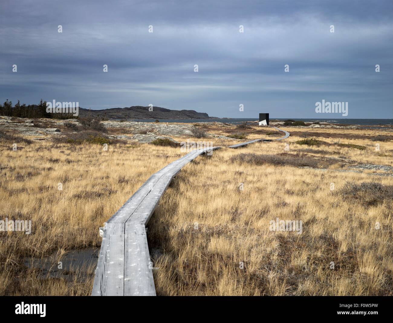 Elevated walkway over marshland, Fogo Island, Newfoundland, Canada Stock Photo