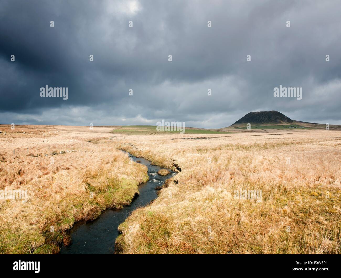 View of marshland and Slemish mountain, County Antrim, Northern Ireland, UK Stock Photo