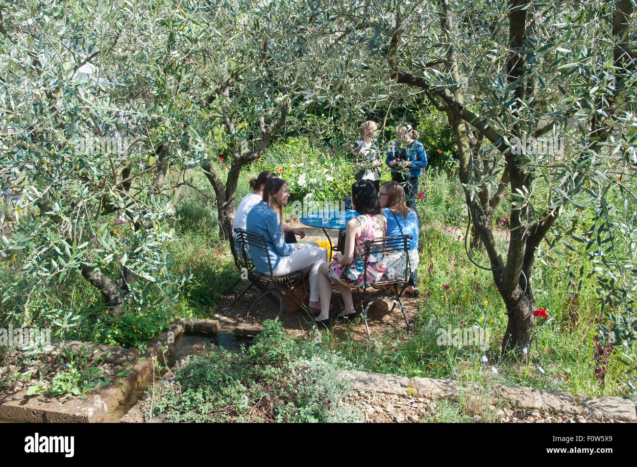 Perfumer's Garden ( L'Occitane en Provence ). An Olive Grove with a group  of young people at the Chelsea Flower Show 2015. UK Stock Photo - Alamy