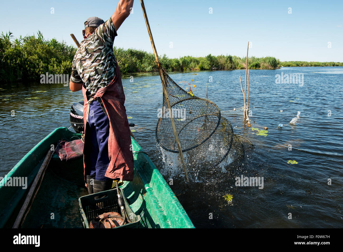 Danube Delta fisherman Florin Moisa shaking weed off traditional fyke