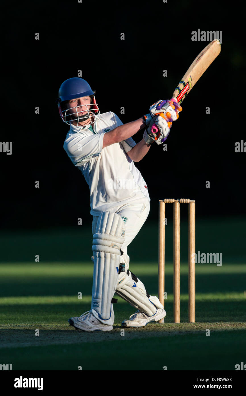 Cricket batsman black hires stock photography and images Alamy