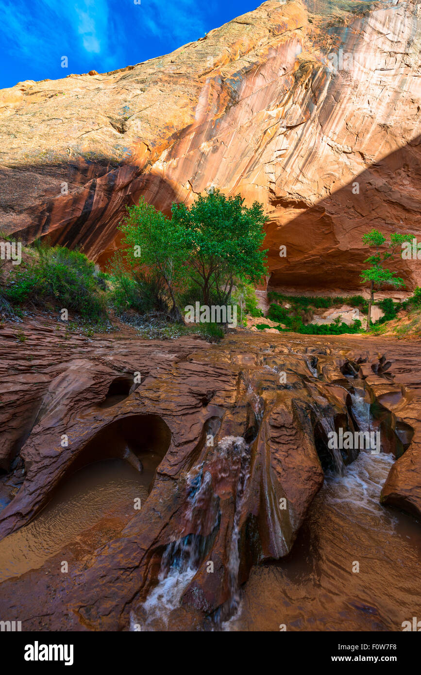 Beautiful Cascade in Coyote Gulch Grand Staircase Escalante National Monument Utah Vertical composition Stock Photo