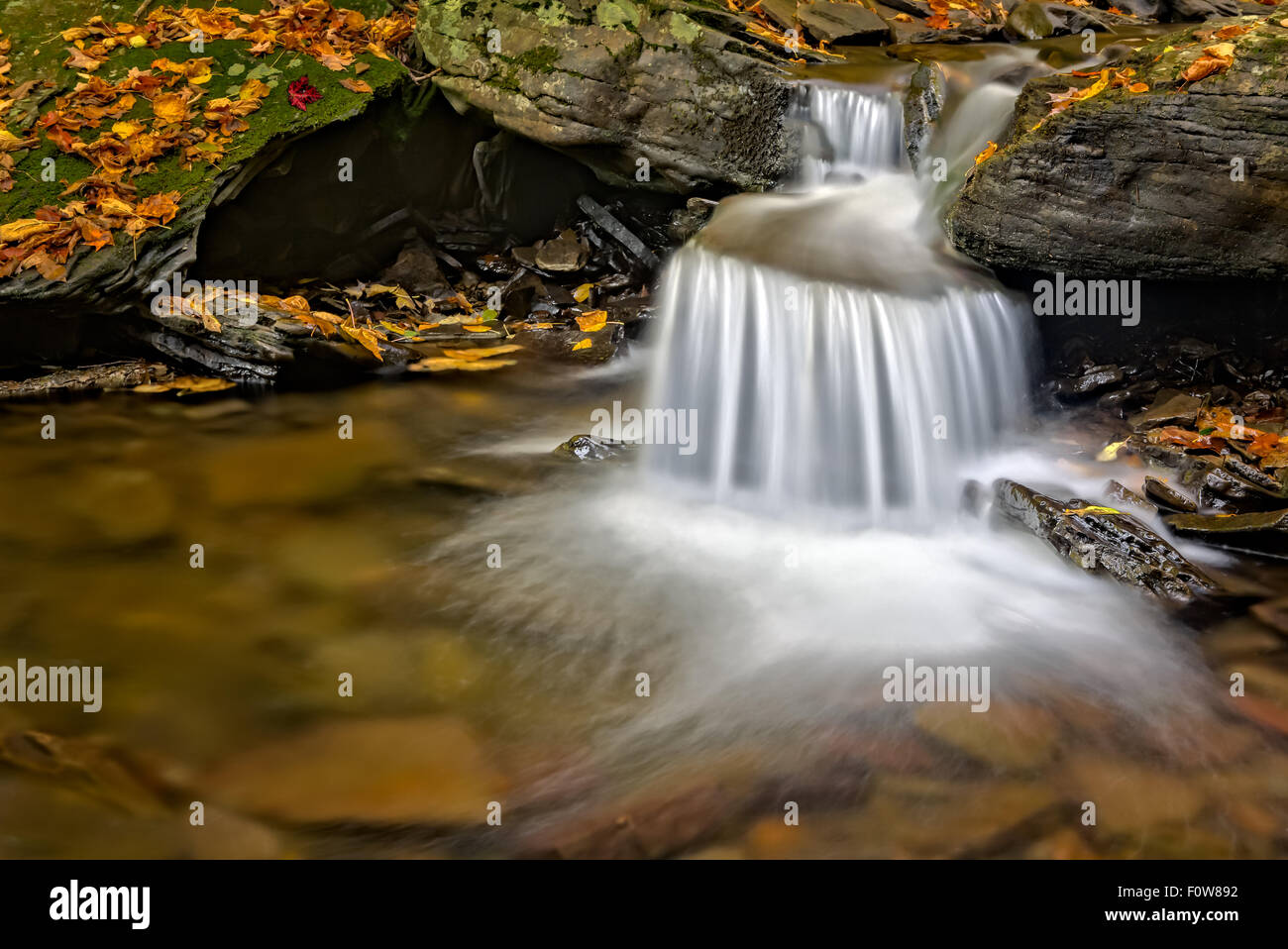 Waterfalls at Ricketts Glen State Park in Pennsylvania Stock Photo Alamy