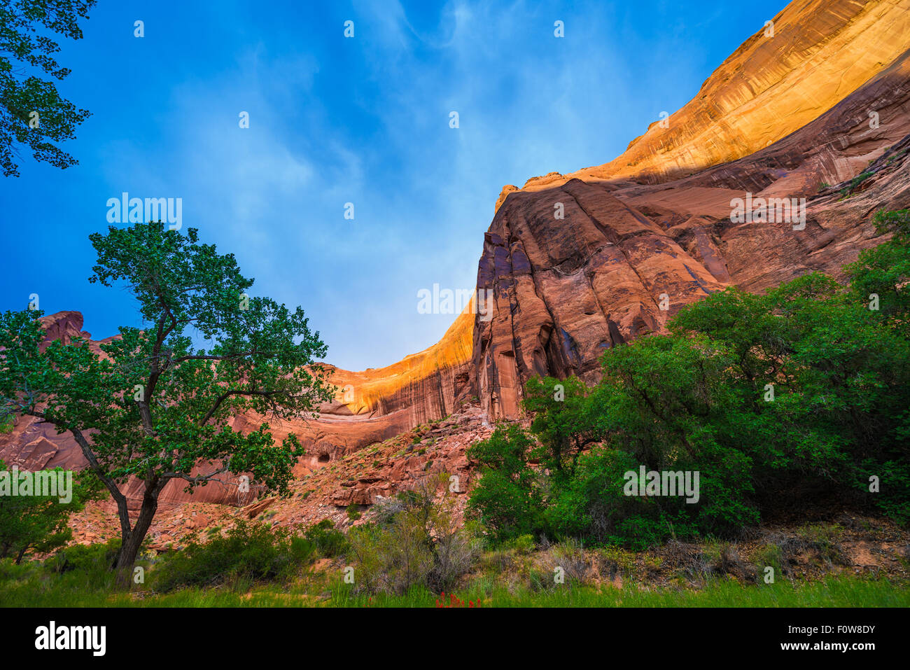 Desert varnish on canyon wall, Coyote Gulch, a tributary of the Escalante River in Southern Utah Stock Photo