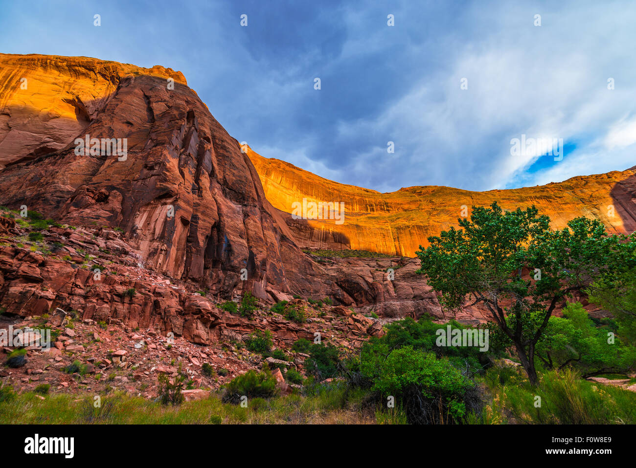 Desert varnish on canyon wall, Coyote Gulch, a tributary of the Escalante River in Southern Utah Stock Photo