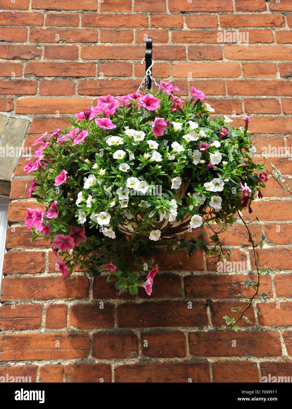 Hanging basket hi-res stock photography and images - Alamy