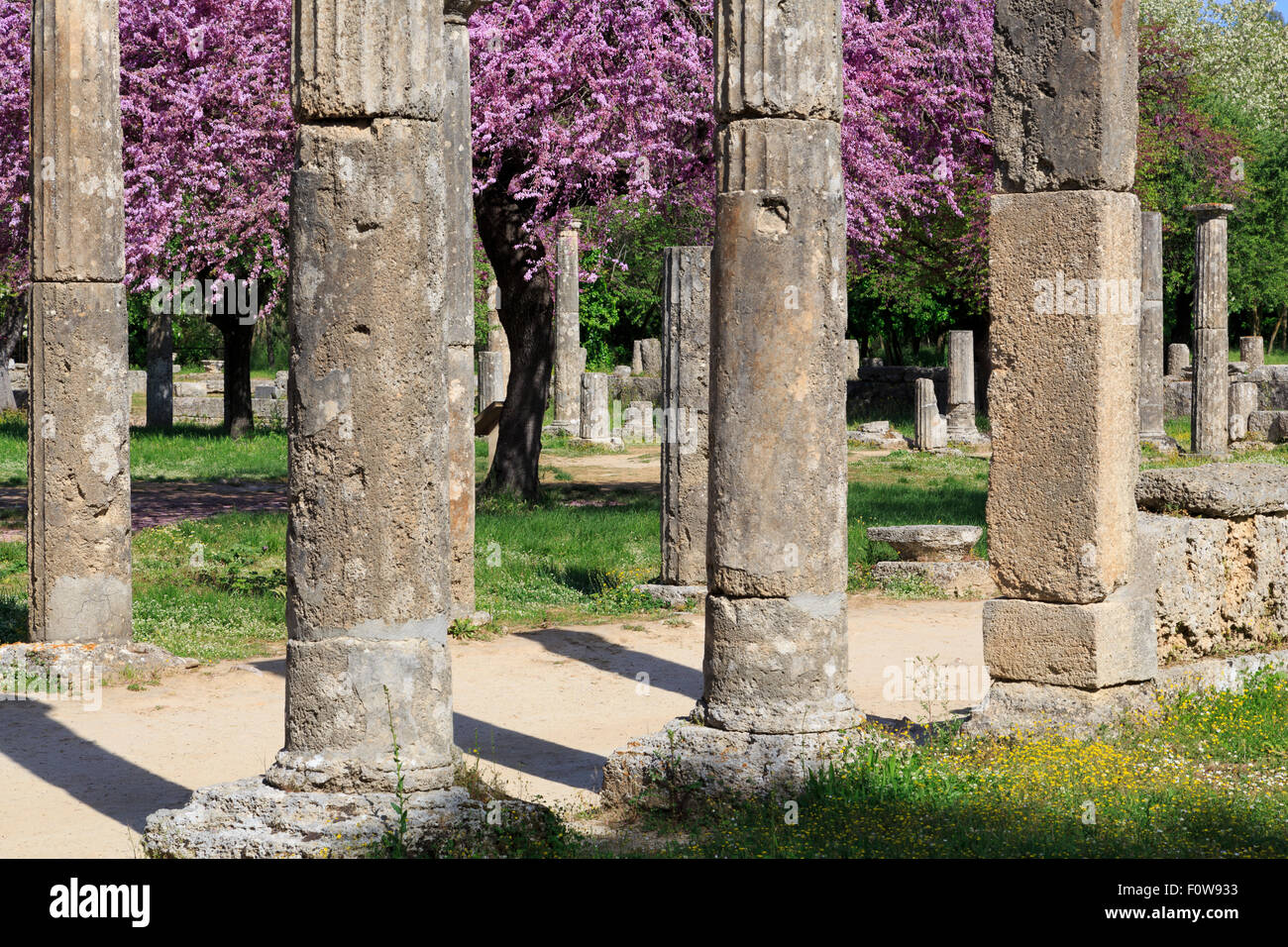 The Palaestra, Ancient Olympia, Peloponnese, Greece, Europe Stock Photo