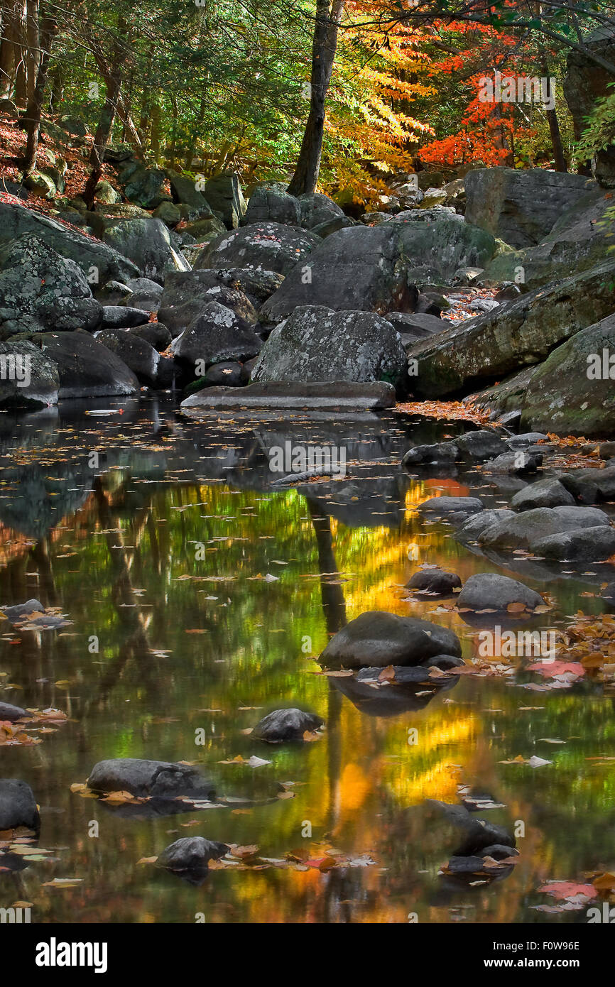 The vibrant colors of fall are reflected on the water of a quiet peaceful stream. Stock Photo