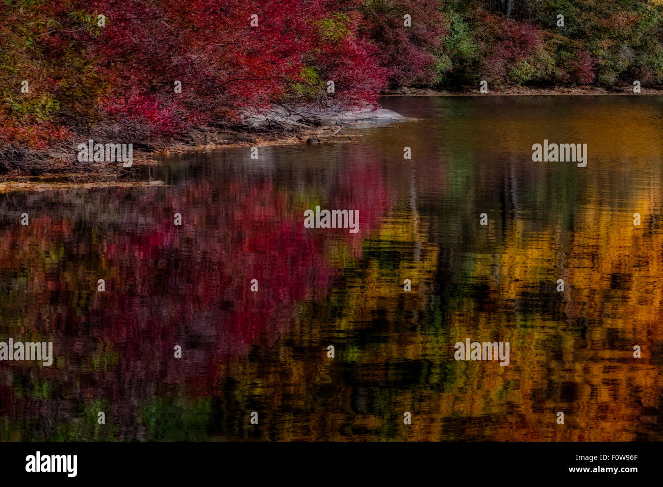 The beautiful colors of the autumn season are reflected in a lake in the late afternoon. Stock Photo