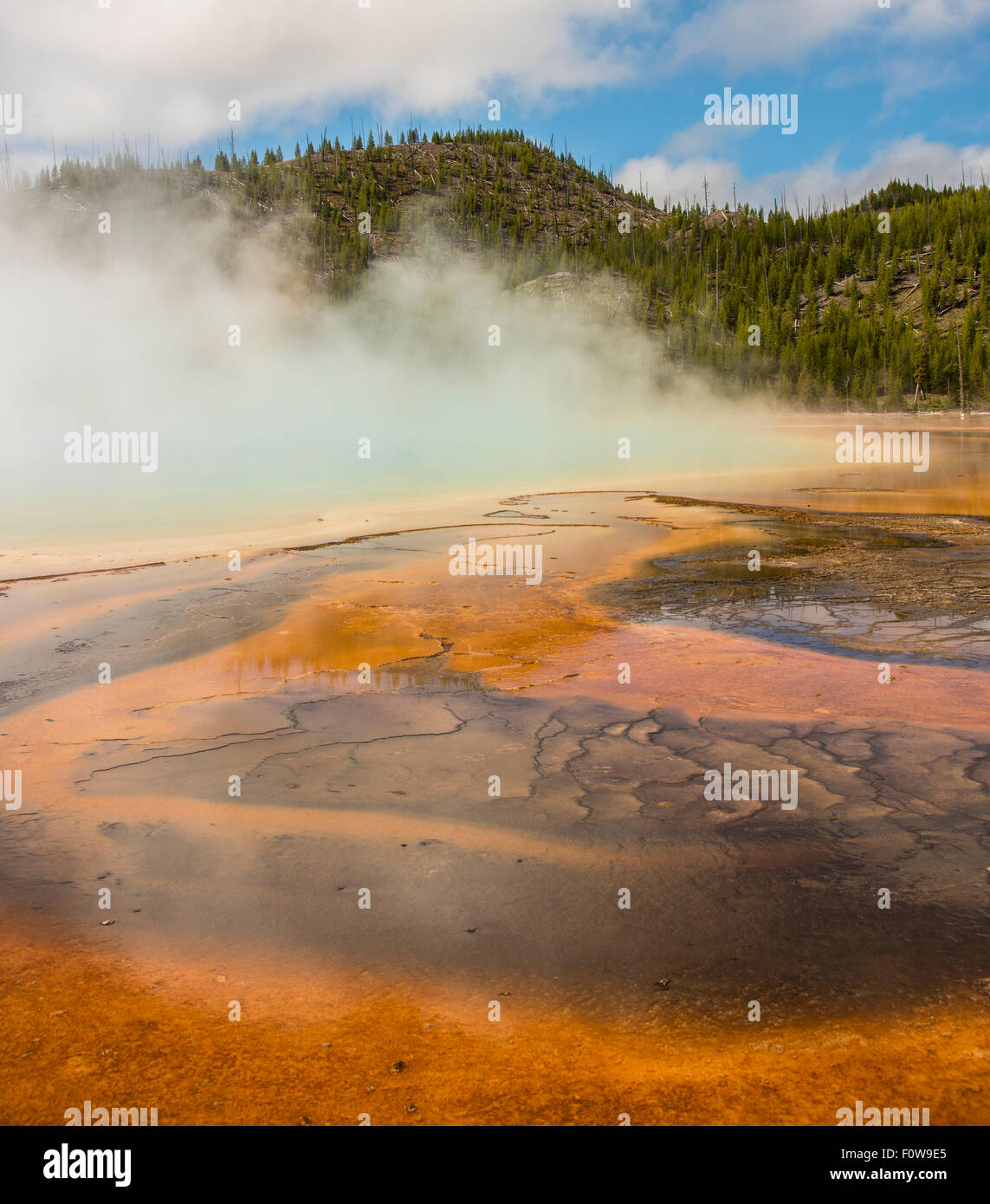 Scenic of Grand Prismatic Spring. Colorful patterns, steam, and mountains. Yellowstone National Park, Wyoming, USA Stock Photo