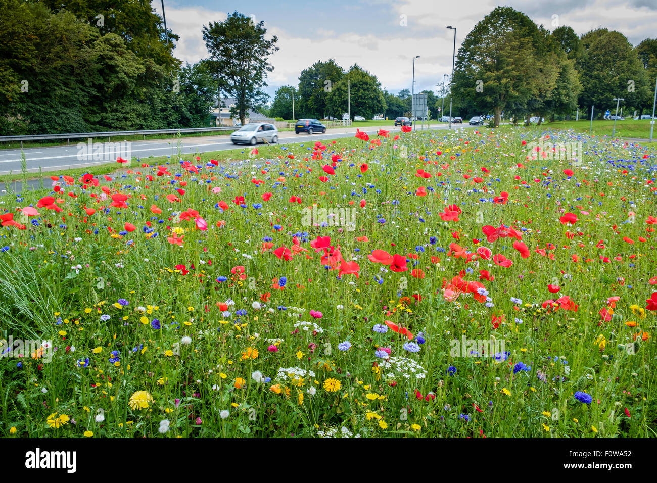 Attractors High Resolution Stock Photography and Images - Alamy