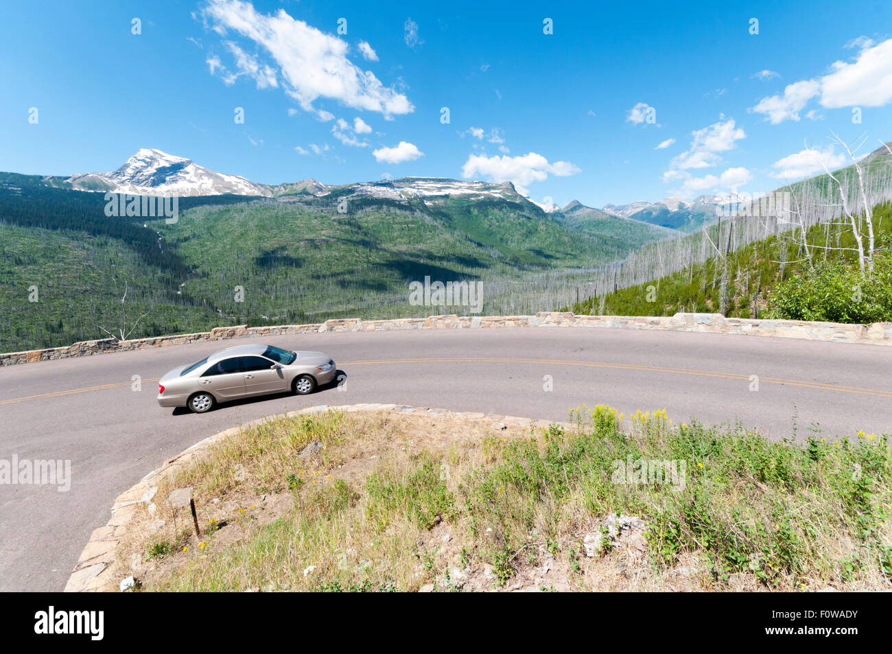 A car rounding The Loop, the only hairpin bend on the Going-to-the-Sun Road in Glacier National Park, Montana, USA. Stock Photo