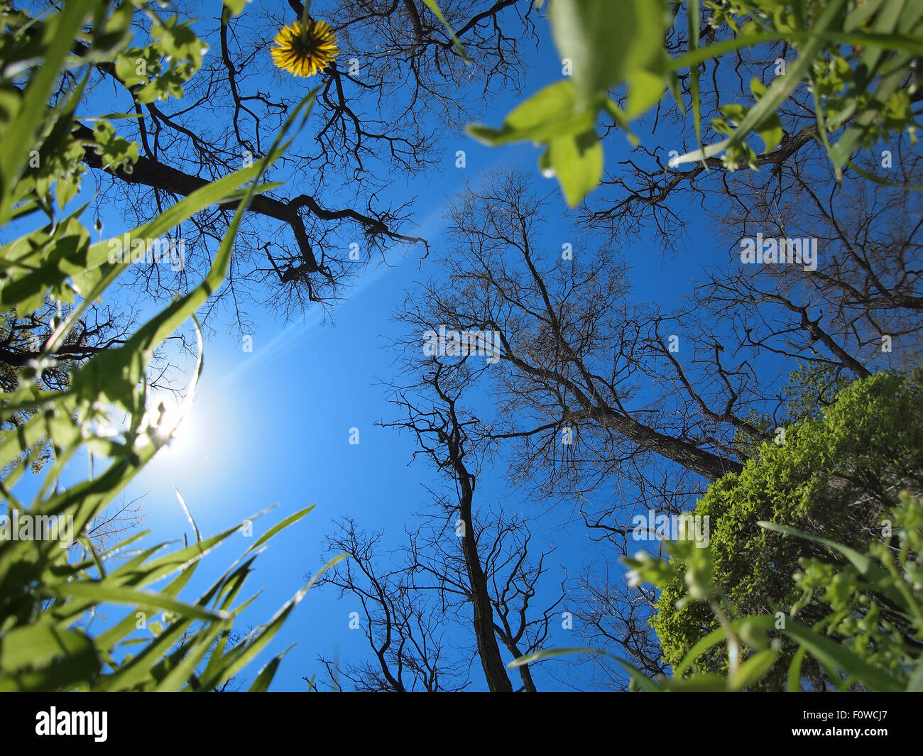 Fisheye Lens View High Resolution Stock Photography and Images - Alamy