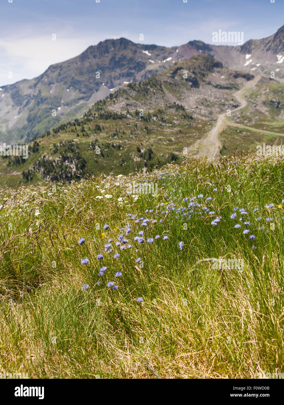 Pyrenees in July Stock Photo