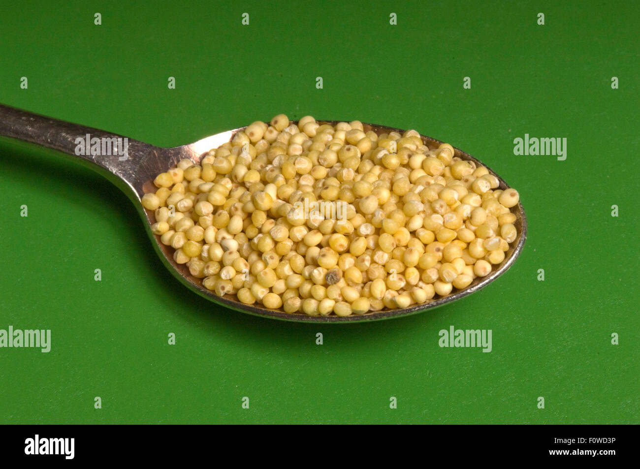 A selection of edible grains including millet,roast buckwheat (kasha