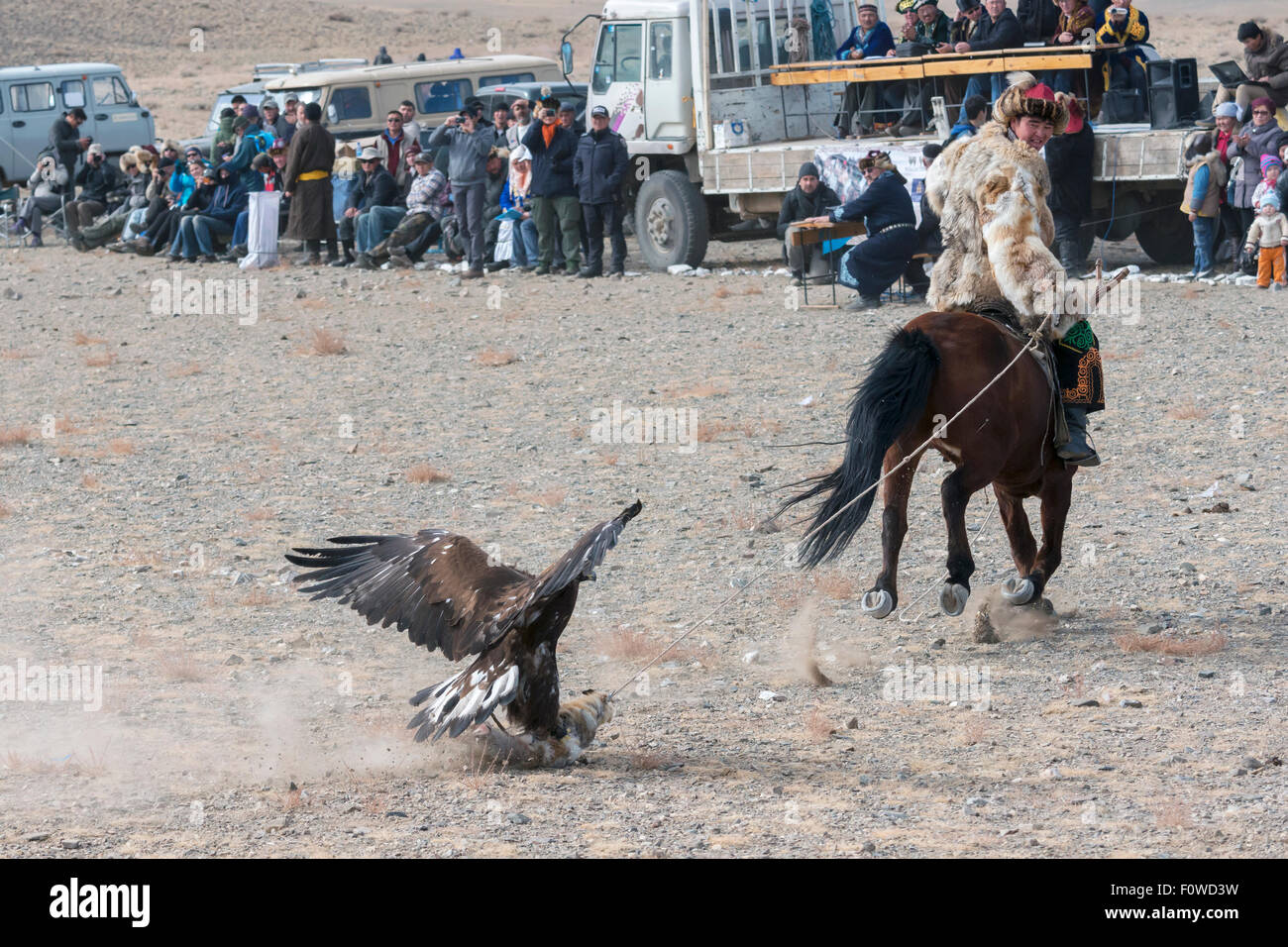 Kazakh eagle hunter luring his eagle near the judge's stand, Eagle Festival, Olgii, Western Mongolia Stock Photo