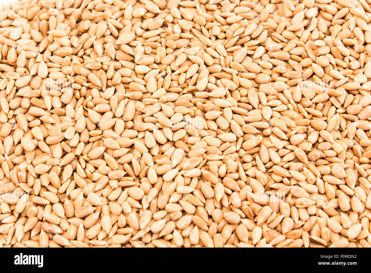Raw, peeled sunflower seeds as background Stock Photo - Alamy