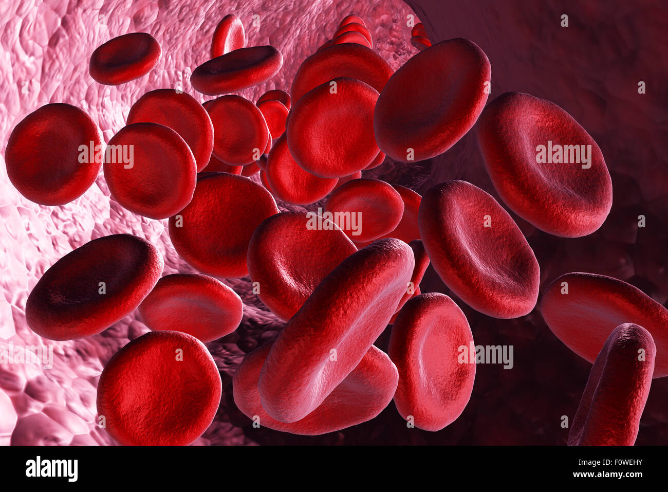 3d render red blood cells - science and medical concept Stock Photo - Alamy