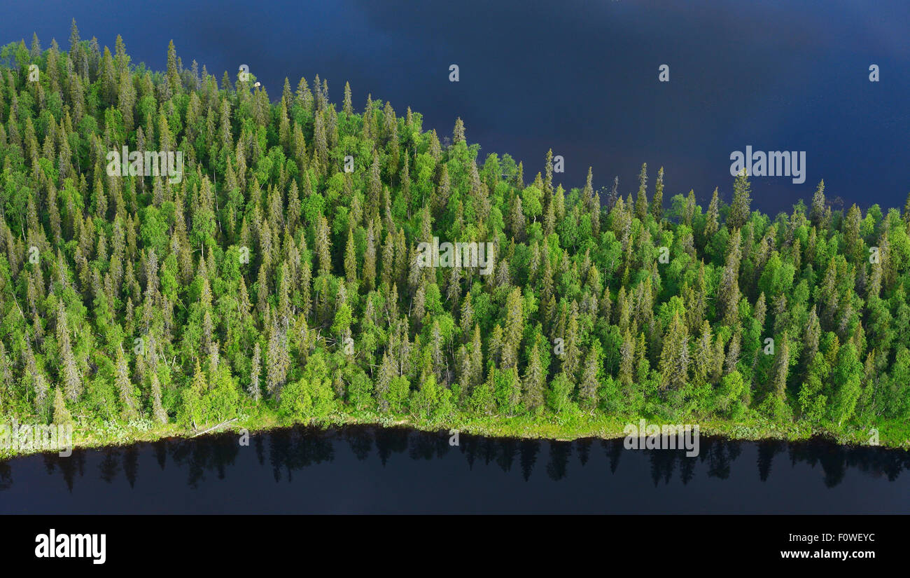 Aerial view taiga boreal forest surrounded by water, Sjaunja Bird Protection Area, Greater Laponia Rewilding Area, Lapland, Norrbotten, Sweden, June 2013. Stock Photo