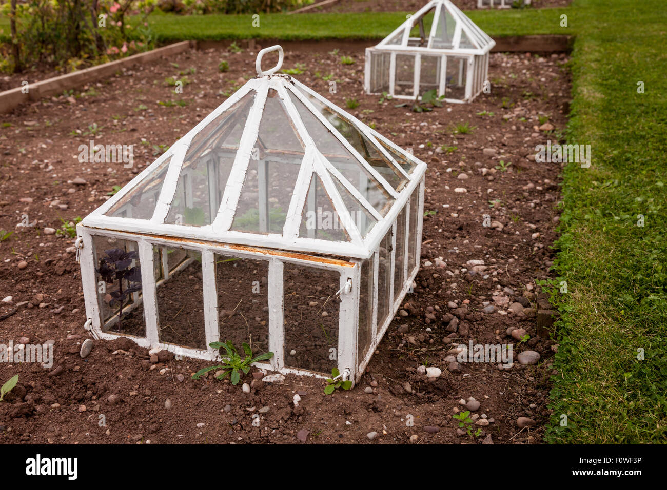 Glass garden cloche hires stock photography and images Alamy