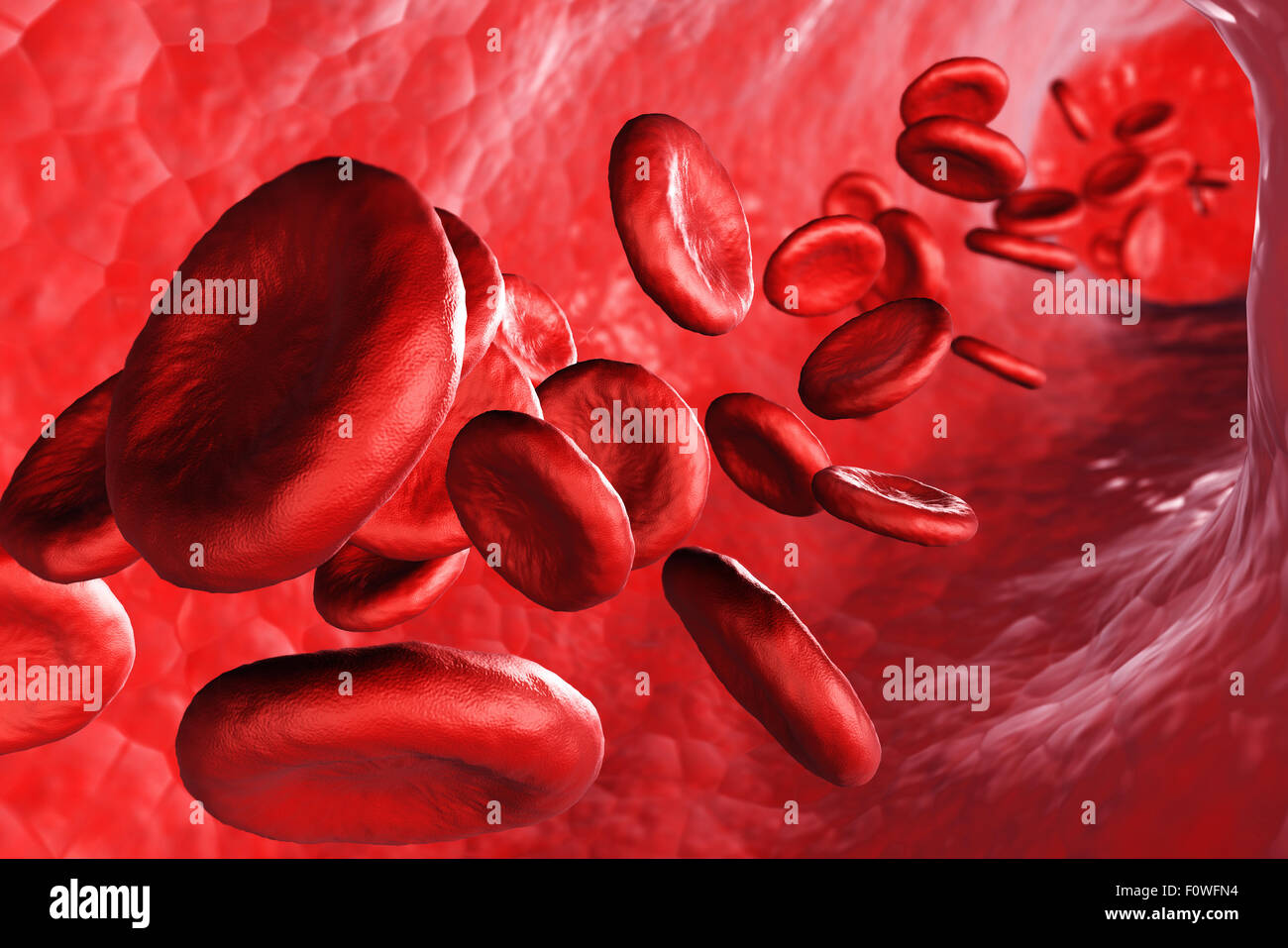 3d render red blood cells - science and medical concept Stock Photo - Alamy